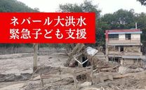 ネパール大洪水 緊急子ども支援